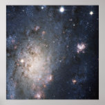 A Bright Supernova in the Nearby Galaxy NGC 2403 posters
