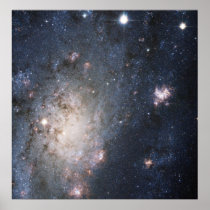A Bright Supernova in the Nearby Galaxy NGC 2403 Poster