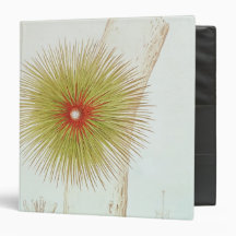 A Bromelia found in the Andes 3 Ring Binder