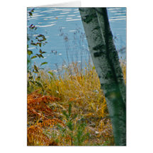 A Brush With Autumn Greeting Card