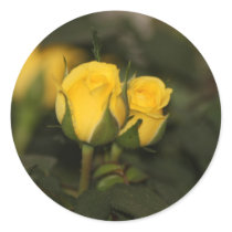 A Budding Friendship (Yellow Rose) Stickers
