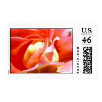 A Bug on a Bud postage by Barbelle156 A Bug on a Bud postage