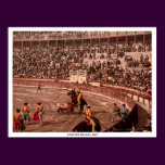 A bull fight, Barcelona, Spain