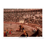 A bull fight, Barcelona, Spain