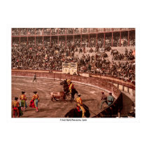 A bull fight, Barcelona, Spain posters by eyecandy A bull fight, Barcelona, Spain posters