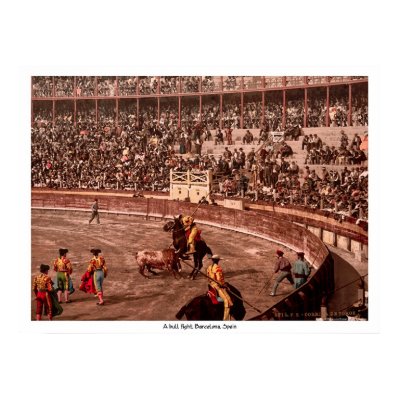 A bull fight, Barcelona, Spain Poster by eyecandy