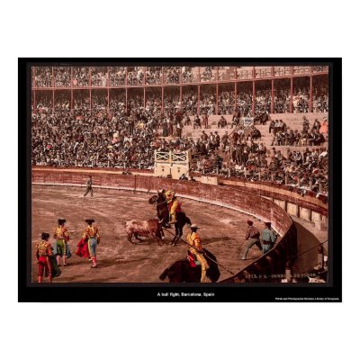 A bull fight, Barcelona, Spain Poster by eyecandy