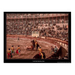 bull, spain, barcelona, europe, fight, crowd,