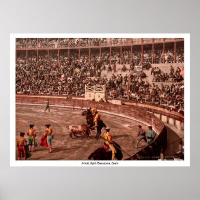 A bull fight, Barcelona, Spain Poster by eyecandy