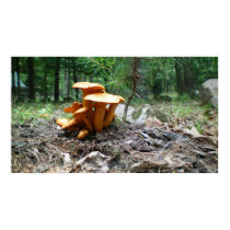 A bunch of Orange Mushrooms posters by MindJunket A bunch of Orange Mushrooms posters