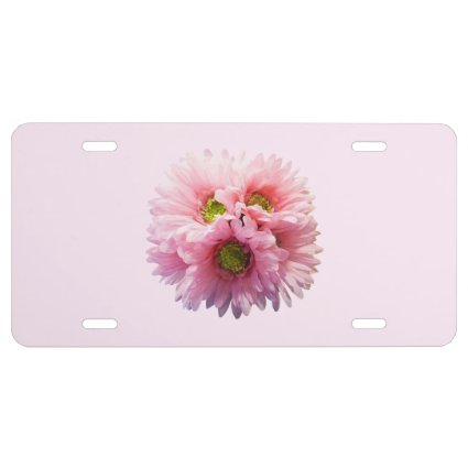 A Bunch of Pink Daisies License Plate