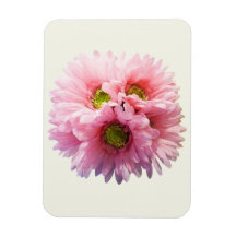 A Bunch of Pink Daisies Magnet