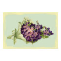 A Bunch of Purple Flowers Poster posters