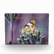 A butterflies beautiful life award