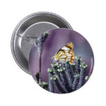 A butterflies beautiful life pinback button