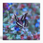 A Butterflies Flitter and Flutter Vinyl Binder