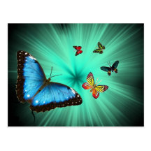 A Butterflys Journey Post Card