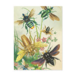 A Buzz of Beautiful Bees Postcards