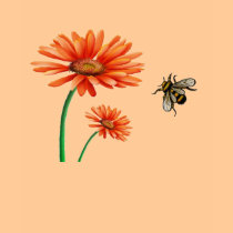 A Buzz t-shirts