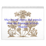 A calendar of microscopic plants and animals.