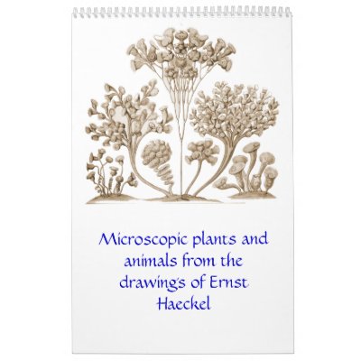 A calendar of microscopic plants and animals by Ernst_Haeckel