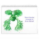 A calendar of plants of Ernst Haeckel