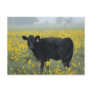 A calf amid the sunflowers of the Nebraska Post Card