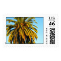 A California Palm Tree postage