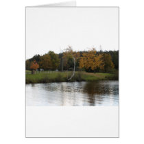 A CALM SETTING cards