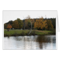 A CALM SETTING cards