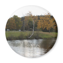 A CALM SETTING magnets