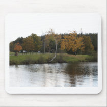 A CALM SETTING mousepads