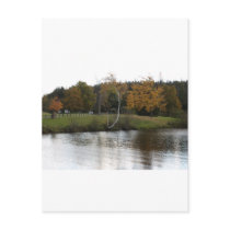 A CALM SETTING postcards