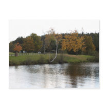 A CALM SETTING postcards