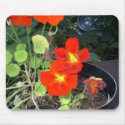 A Car in the Garden mousepads