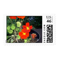 A Car in the Garden postage