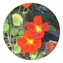A Car in the Garden stickers