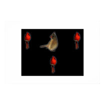 A Cardinal Tribute Poster posters by redogpeters A Cardinal Tribute Poster posters