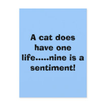A cat does have one life.....nine is a sentiment! postcards
