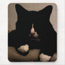 A cat in black and shadow. mousepads