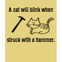 A cat will blink when struck with a hammer t-shirts