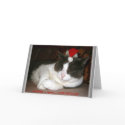 A Cat's Christmas Wish cards