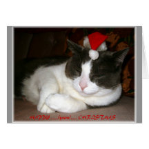 A Cat's Christmas Wish Greeting Cards