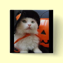 A Cat's Halloween buttons by JCatGarden A Cat's Halloween buttons