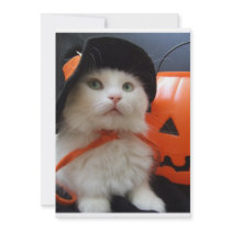 A Cat's Halloween invitations