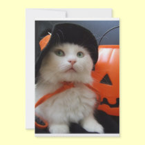A Cat's Halloween invitations