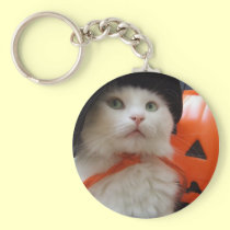 A Cat's Halloween keychains