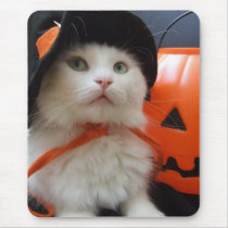 A Cat's Halloween mousepads