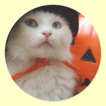 A Cat's Halloween stickers