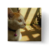A Cat's Indulgence buttons